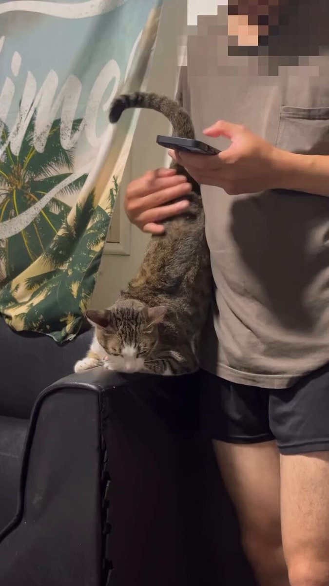 CAT LOVERS - https://t.co/q7NP0DBaJr