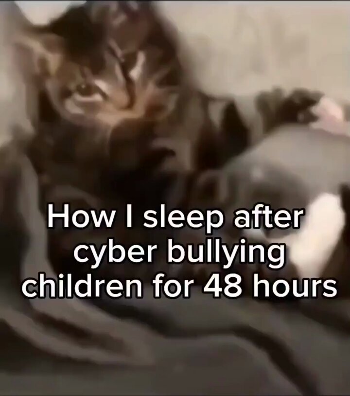 Punch Cat - https://t.co/4Se6Ih3aVe