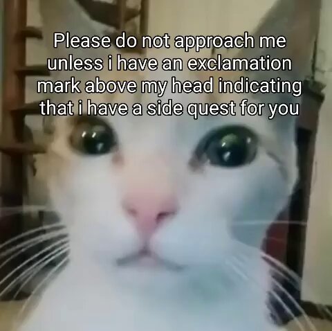 Punch Cat - https://t.co/4WS4TpsftZ