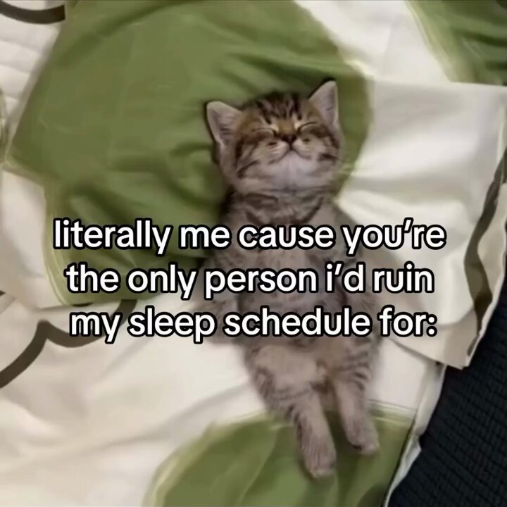 Punch Cat - https://t.co/v85Qm3lARy