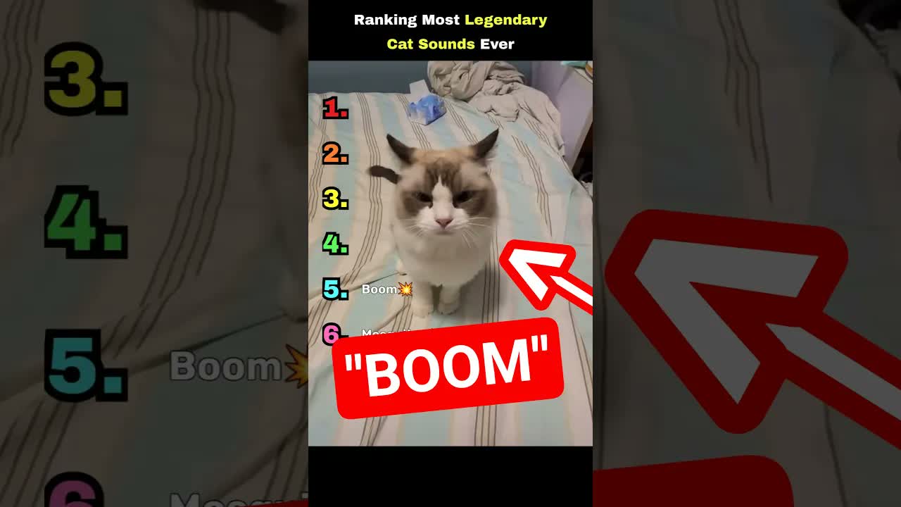 Ranking Most LEGENDARY CAT SOUNDS Ever 🤣 #shorts