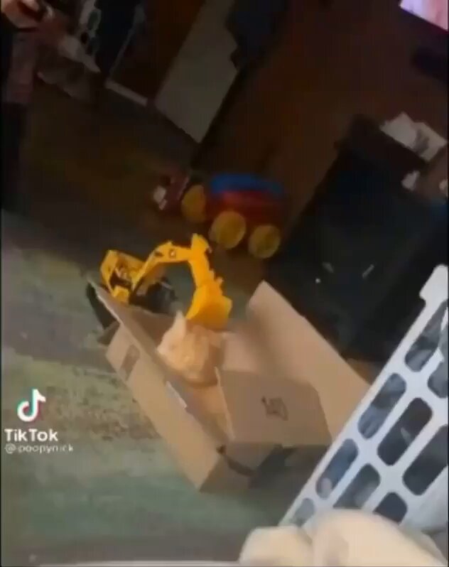 Punch Cat - https://t.co/lvrg9W9CMk