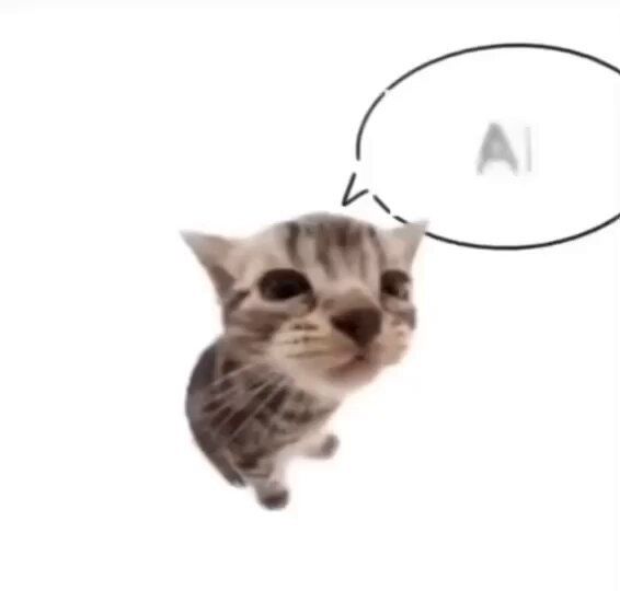 Punch Cat - https://t.co/kpX3xuUm7y