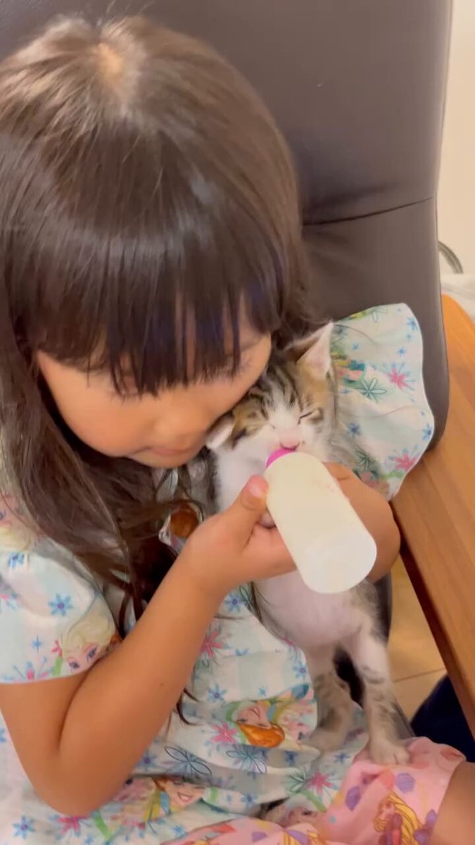 CAT LOVERS - https://t.co/ZQn2DLg9DO