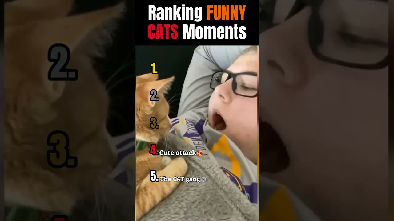 Ranking FUNNY CATS Moments. 😂🐱 #shorts #funnycats   #cats   #funnyanimals   #viralshortsvideo