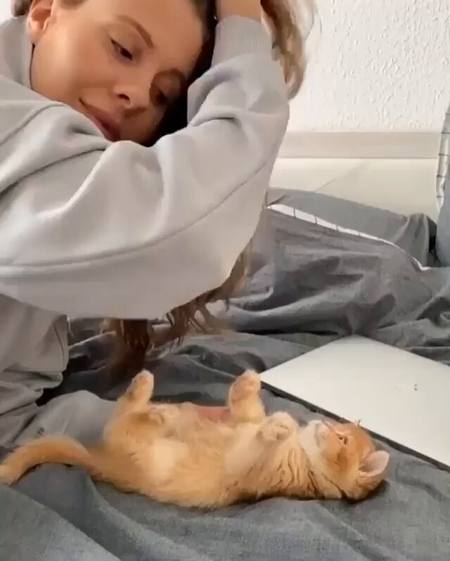 CAT LOVERS - https://t.co/JqoAcscuZJ