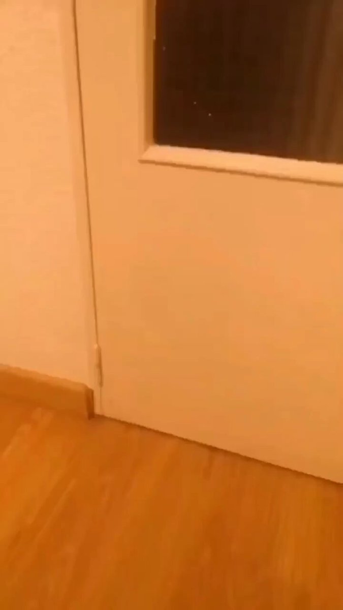 Punch Cat - https://t.co/u2HK1XqPSW