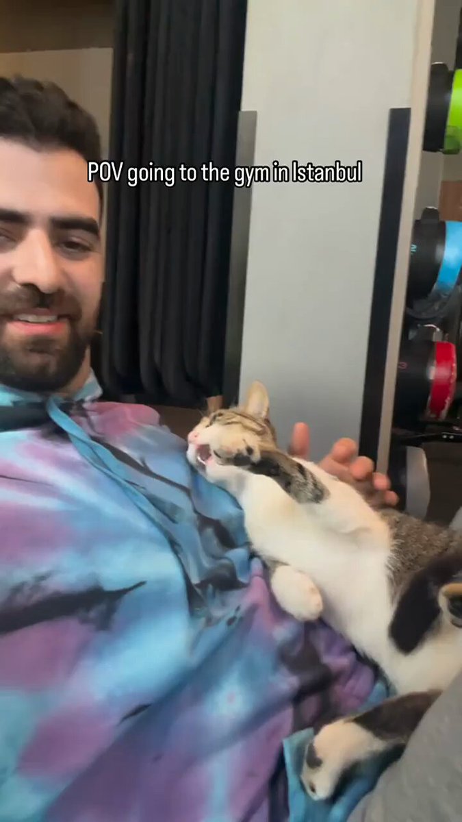 Punch Cat - https://t.co/3epYtfOU8a