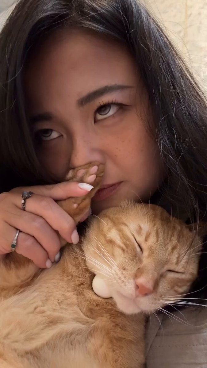 CAT LOVERS - https://t.co/nEAC1b4N2M