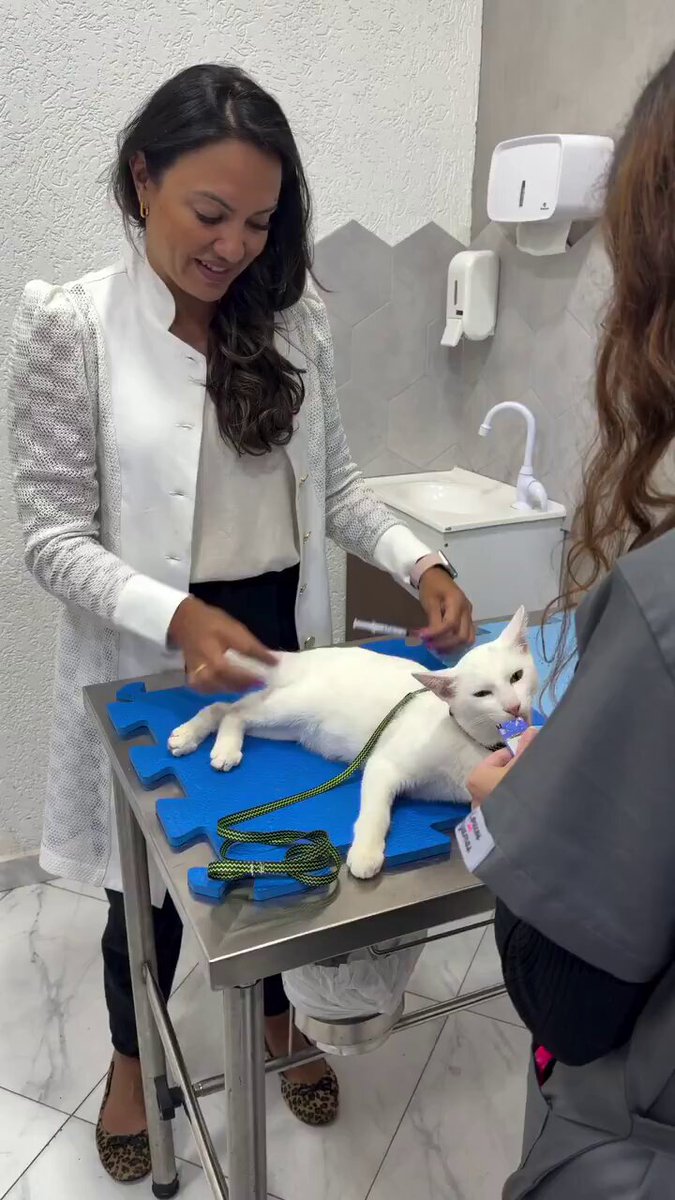 We don't deserve cats 😺 - Churu needs to use this in an ad🤣