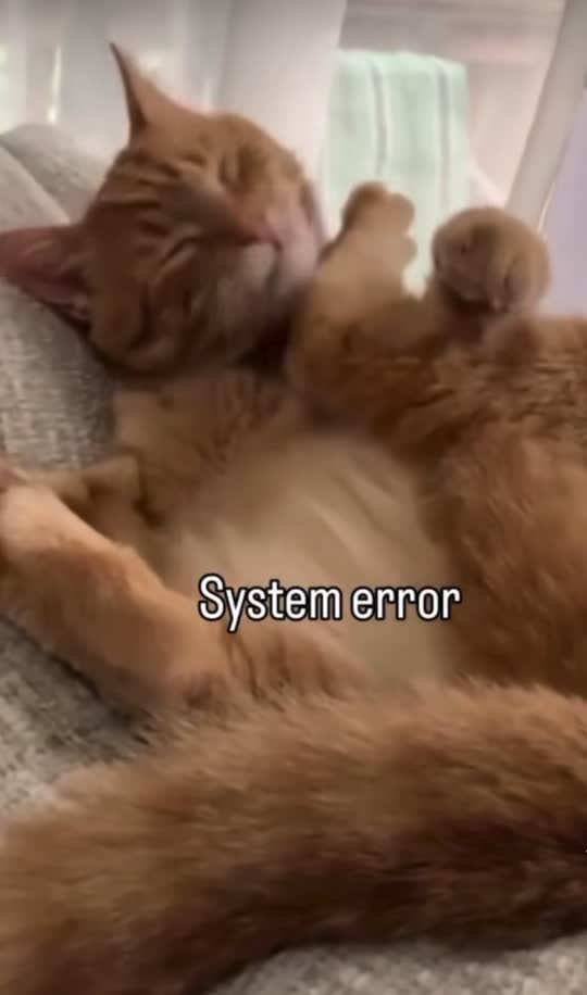 Vidéo