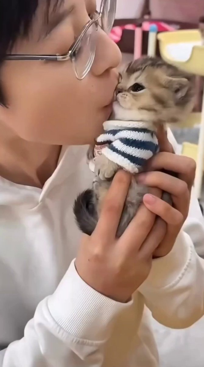 We don't deserve cats 😺 - This is how I show love: I annoy the kitten