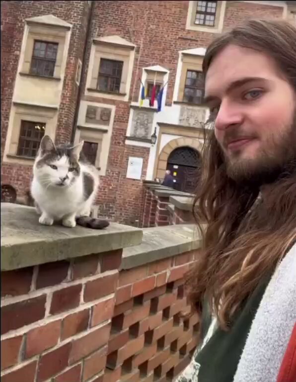 CAT LOVERS - How cats react to me vs my girlfriend