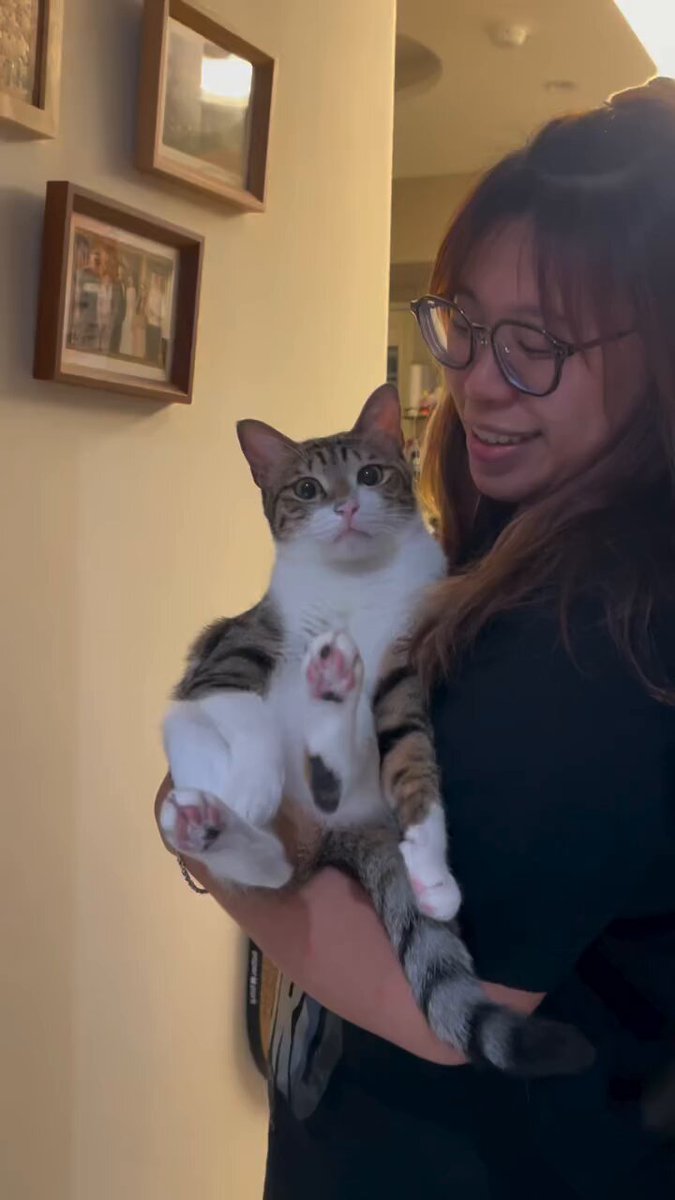 CAT LOVERS - https://t.co/m1m2ThVg0V