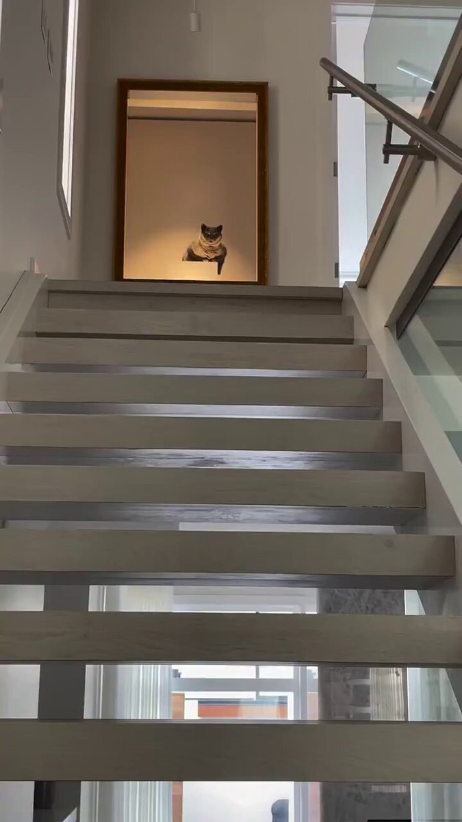We don't deserve cats 😺 - I thought it was a painting 😂