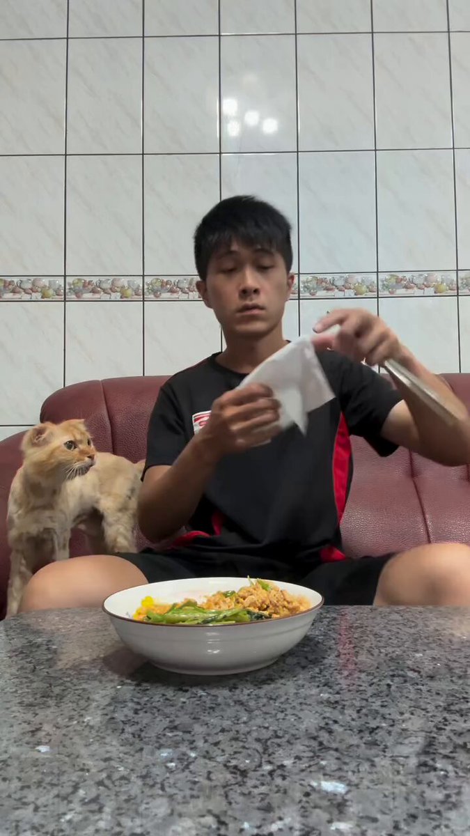 CAT LOVERS - https://t.co/zCOWGjVdmu