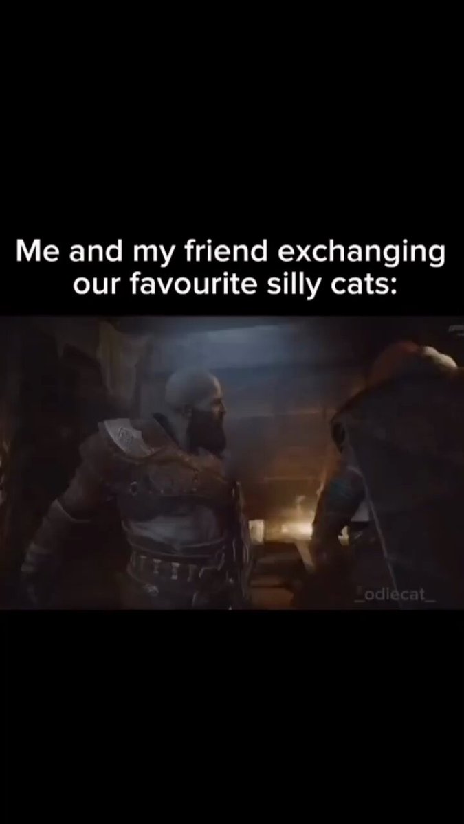 Punch Cat - https://t.co/pOZIJEQjQE