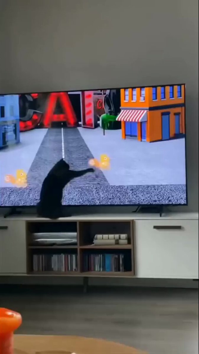 Punch Cat - https://t.co/JG0I0AY5t0