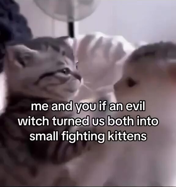 Punch Cat - https://t.co/8GGe51FOiT