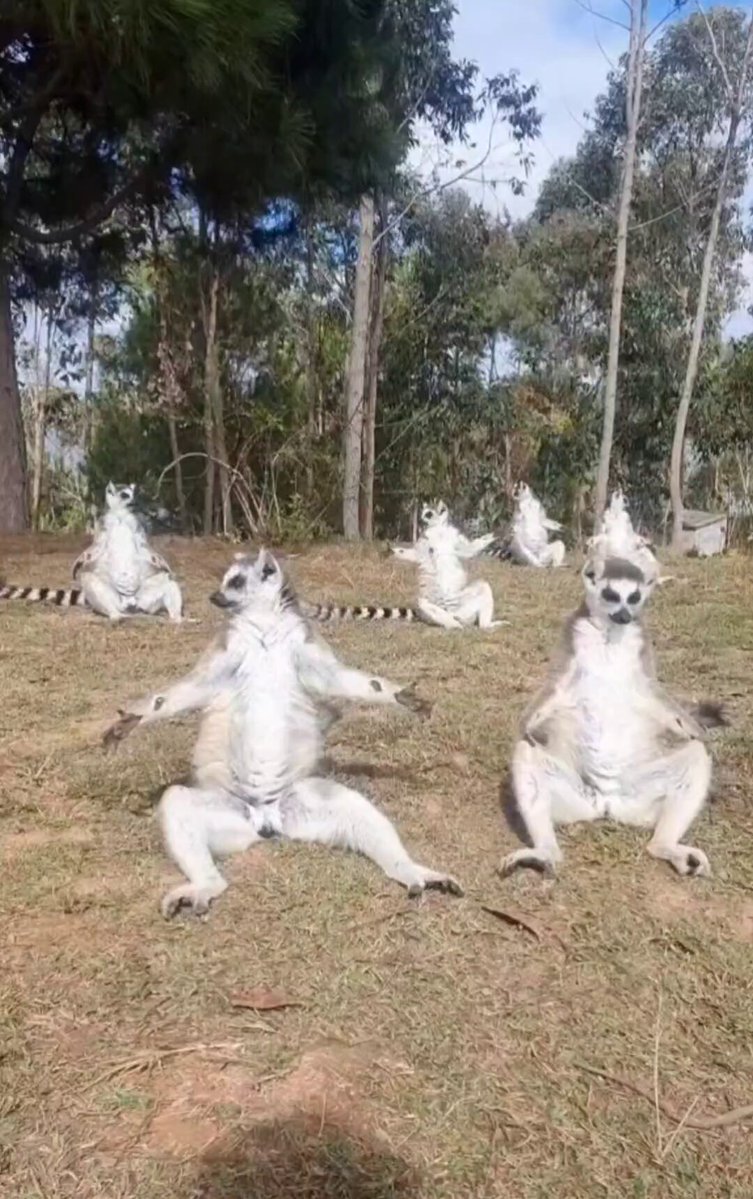 Nature is Phenomenal - Sunrise and all our kings and queens are doing Yoga pose 😀   Which on...