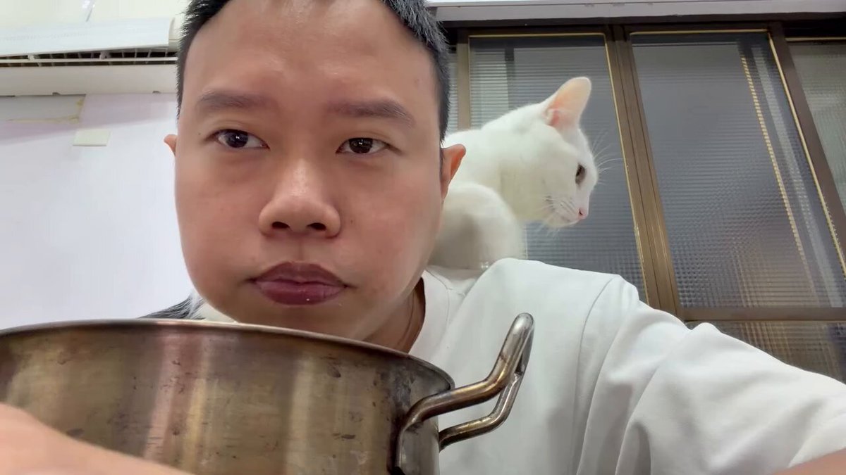 CAT LOVERS - https://t.co/Kn6oQ5JpT3