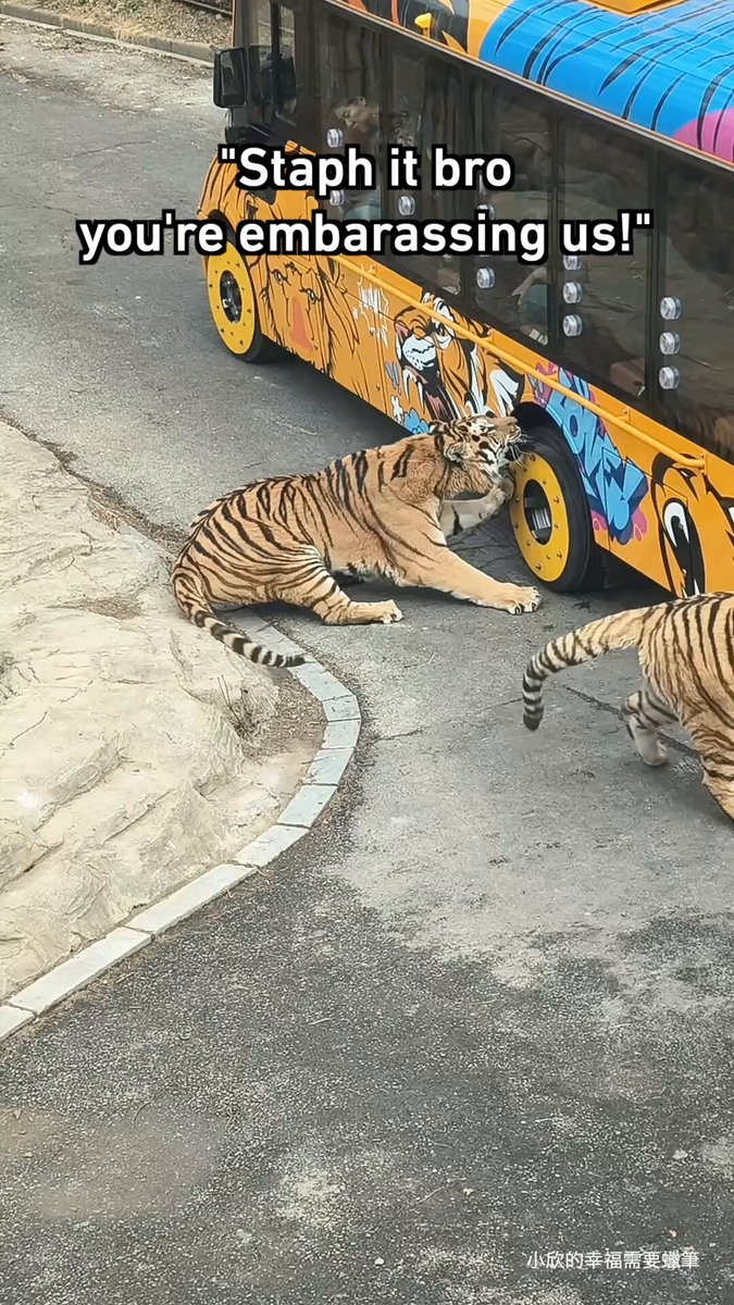 9GAG ❤️ Memeland - Orange knows no size