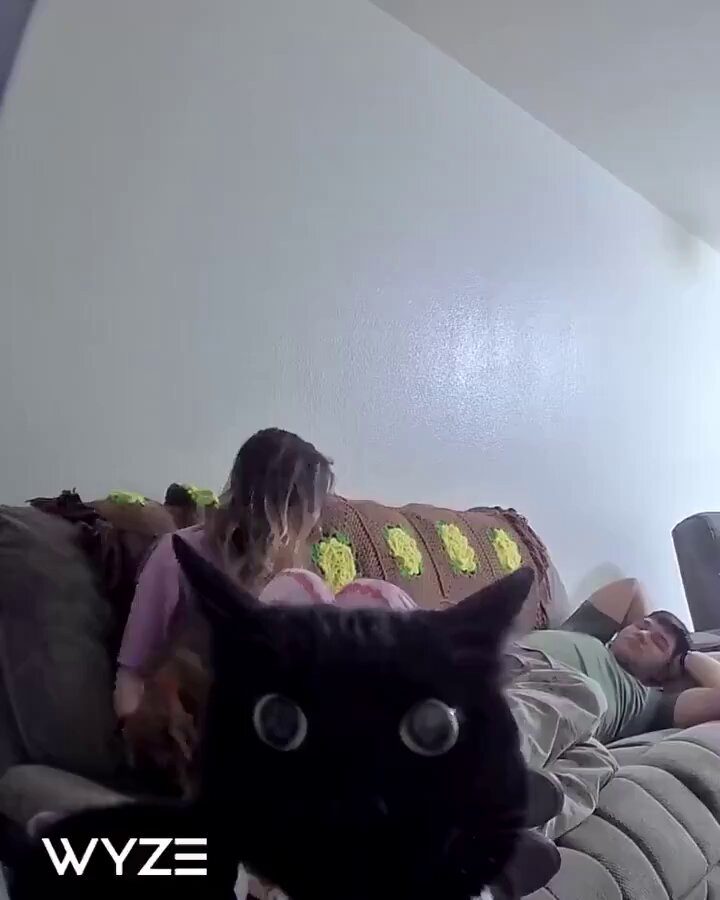 We don't deserve cats 😺 - he's staring into my soull