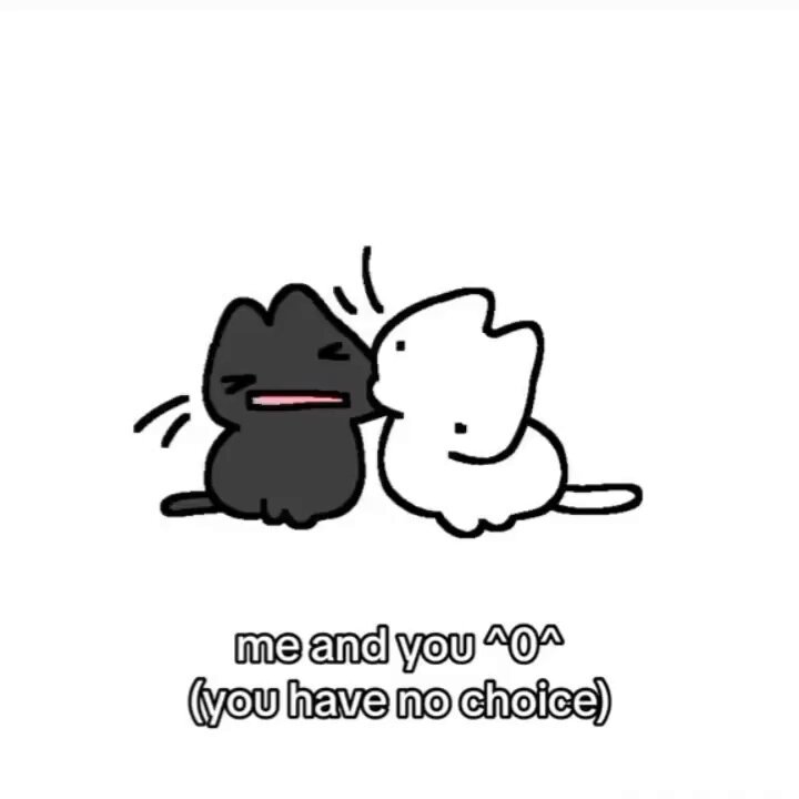 Punch Cat - https://t.co/9nJ1O4Jkoz