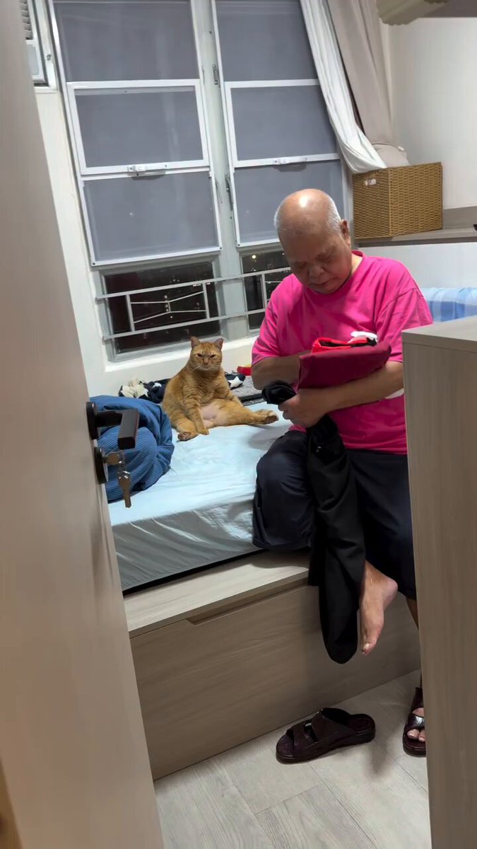 CAT LOVERS - https://t.co/tmTbotMSlz