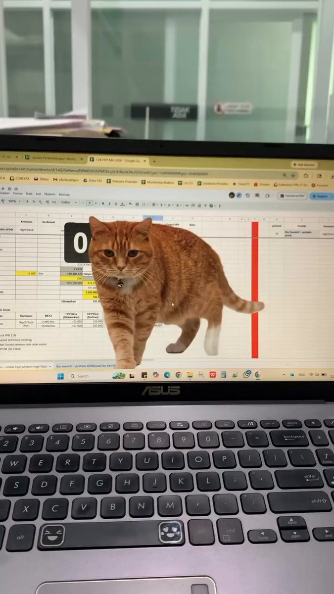 CAT LOVERS - https://t.co/VtVFp3gyCL