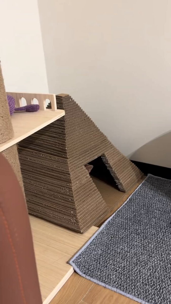 CAT LOVERS - https://t.co/XoXy8YwzRa