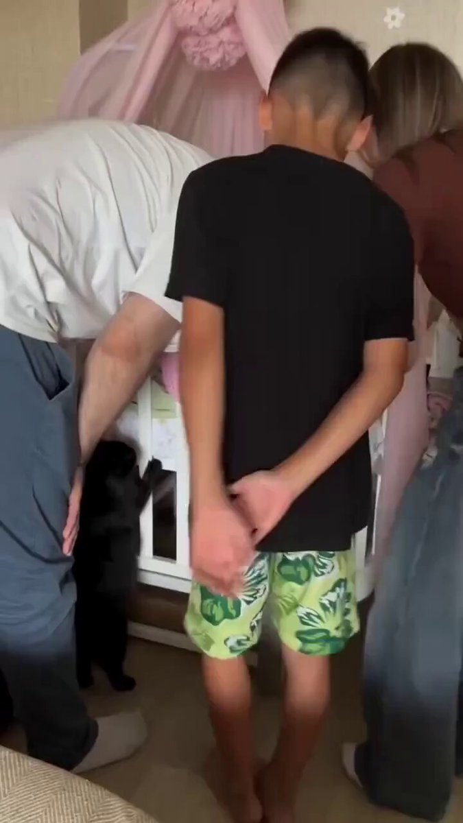 We don't deserve cats 😺 - cat: who is this creature that took my place