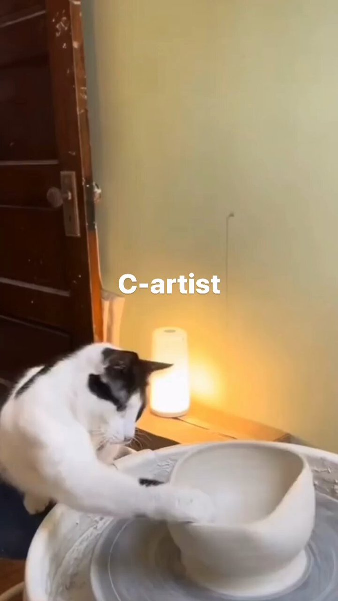 Punch Cat - https://t.co/0OxTo5MuQW