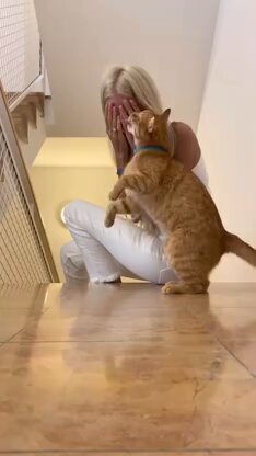 CAT LOVERS - In my hardest moment, my cat became my strength.