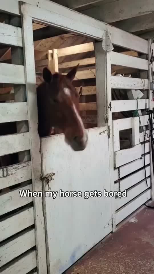Vidéo