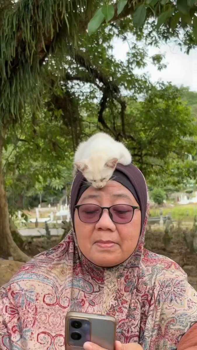 CAT LOVERS - https://t.co/htvOIJvIll