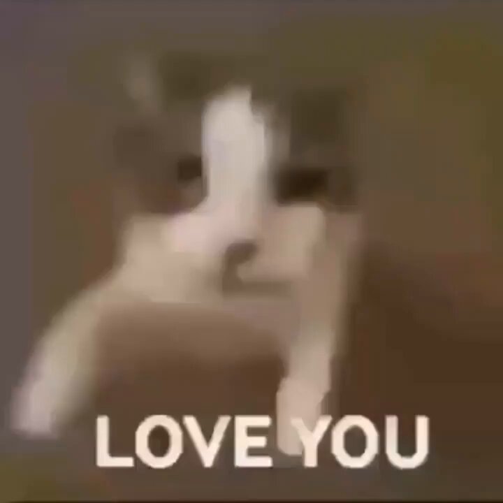Punch Cat - https://t.co/jRTCcFSJrQ
