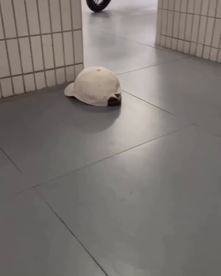 Punch Cat - https://t.co/5zSq02Qwg8