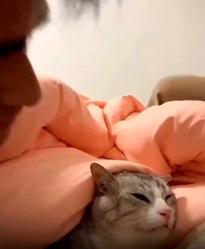CAT LOVERS - Cat Gets Angry At Dad's Kisses But Turns Soft &amp; Cuddly For Mom😍🐈‍...