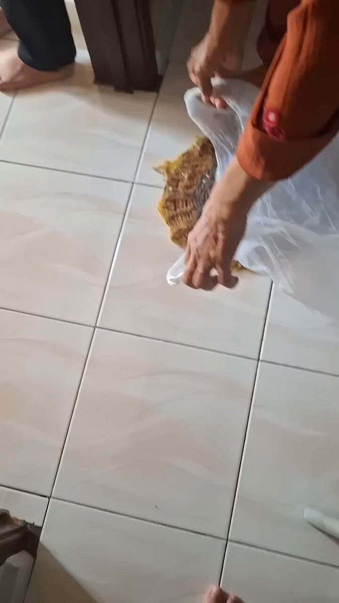 CAT LOVERS - https://t.co/AedVVOcQHb