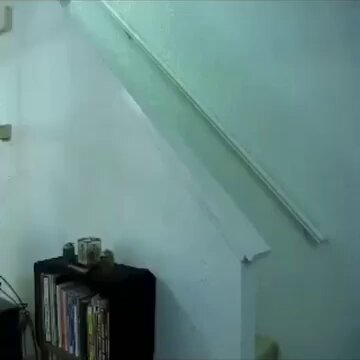Punch Cat - https://t.co/bJIjJMcmQ0