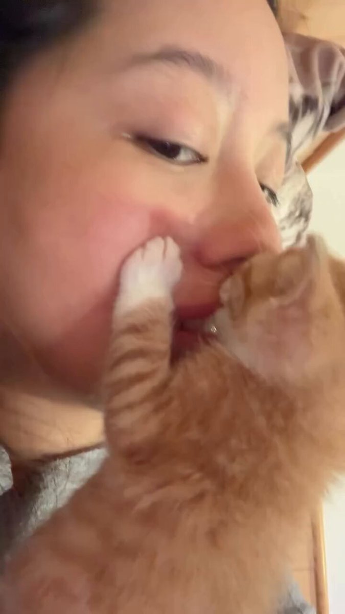 CAT LOVERS - https://t.co/SFMmrAp66Q