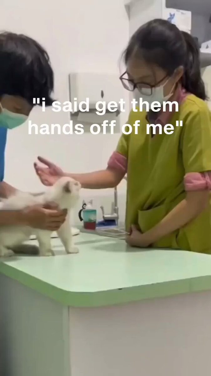 Punch Cat - https://t.co/zCaDfYgLVc