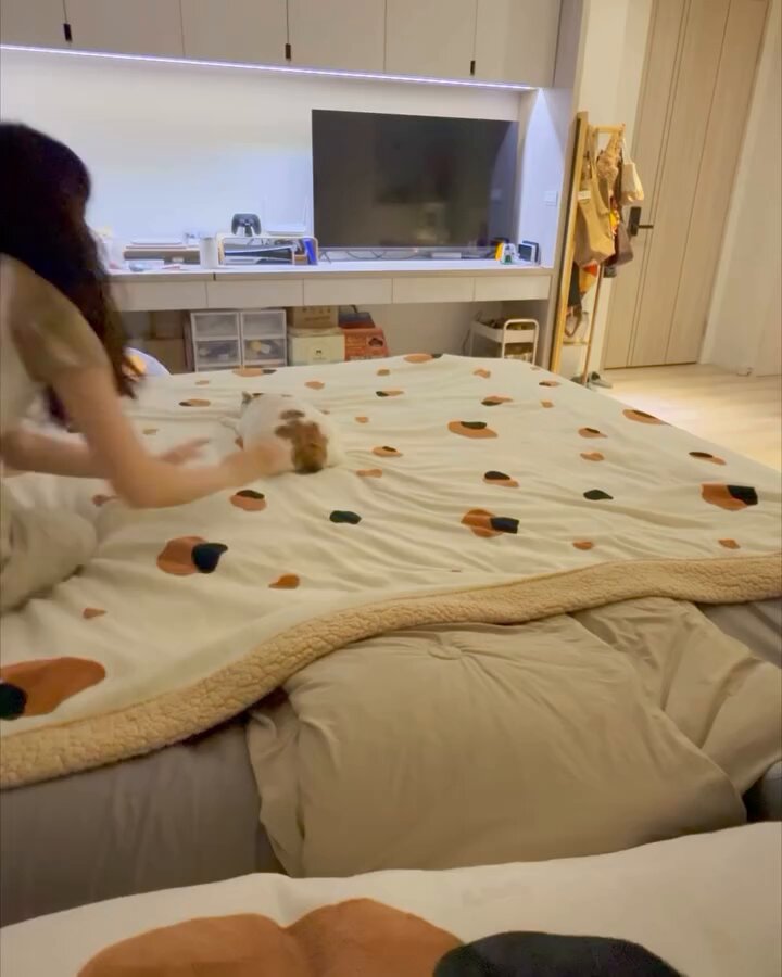 CAT LOVERS - https://t.co/oFvvQQB2Cg