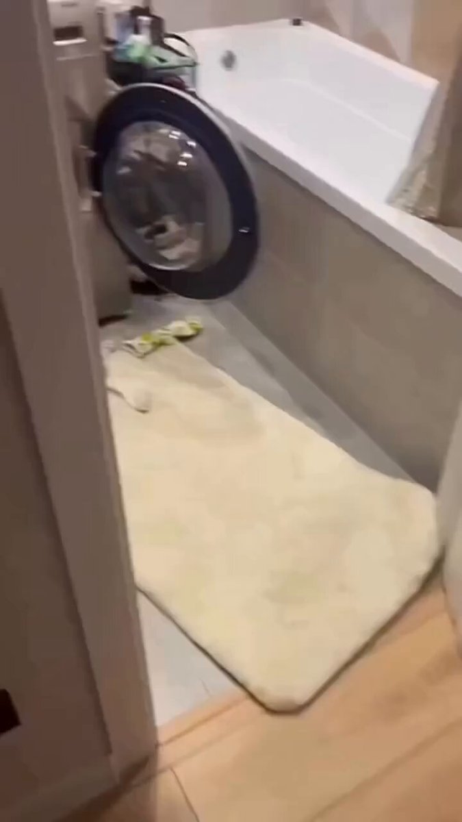 CAT LOVERS - https://t.co/jNT2NRkWjy