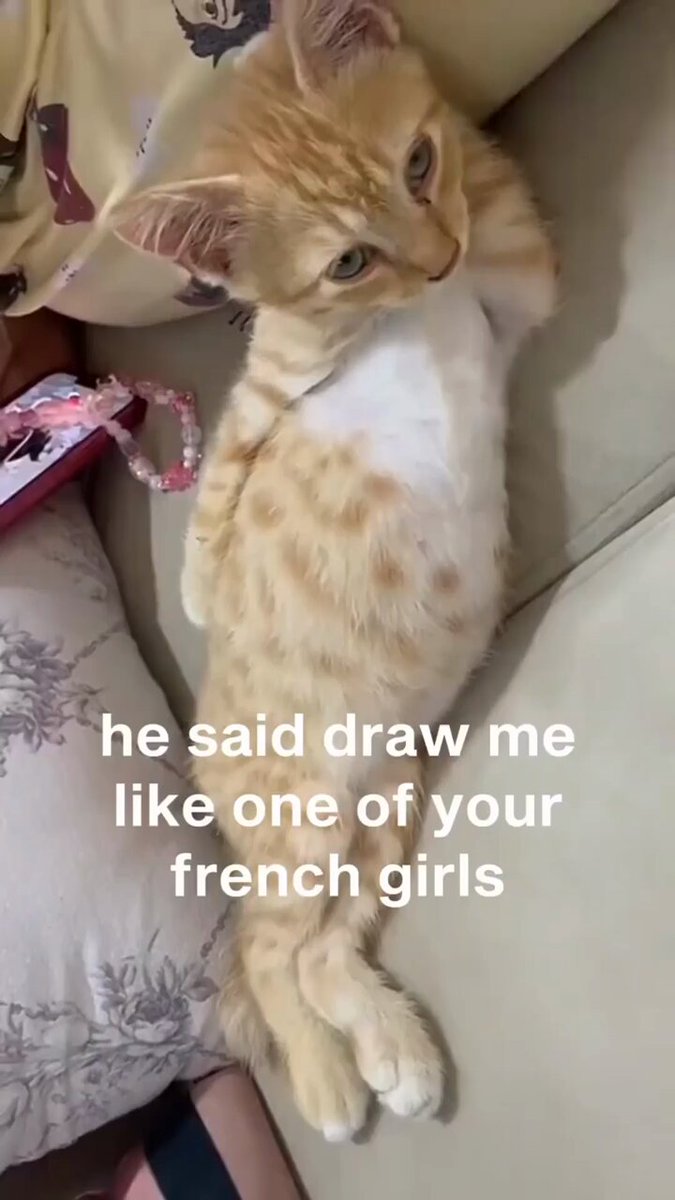 Punch Cat - https://t.co/XAjxxOLdiF