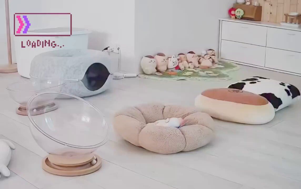 CAT LOVERS - https://t.co/DrHwfO3fDj