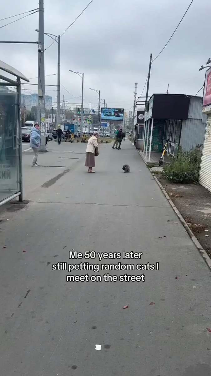 Punch Cat - https://t.co/N14TLIflTD