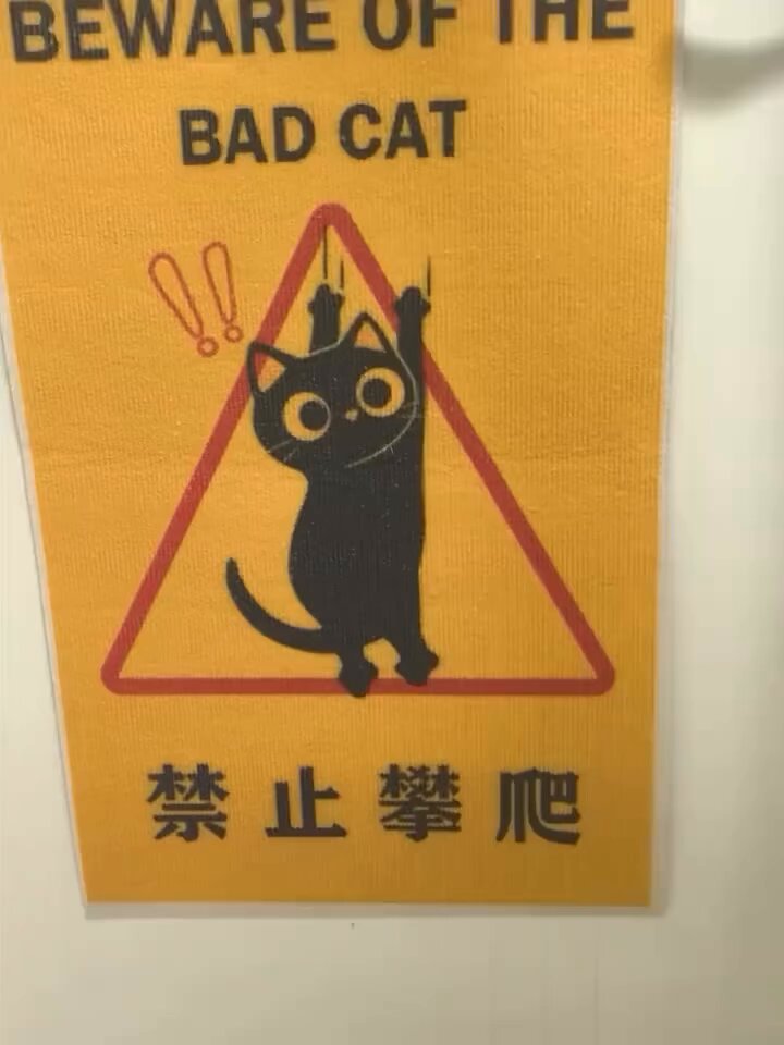 CAT LOVERS - very interesting