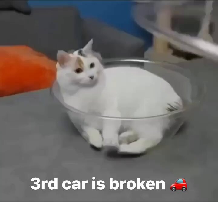 Punch Cat - https://t.co/sFGTEQc1ra
